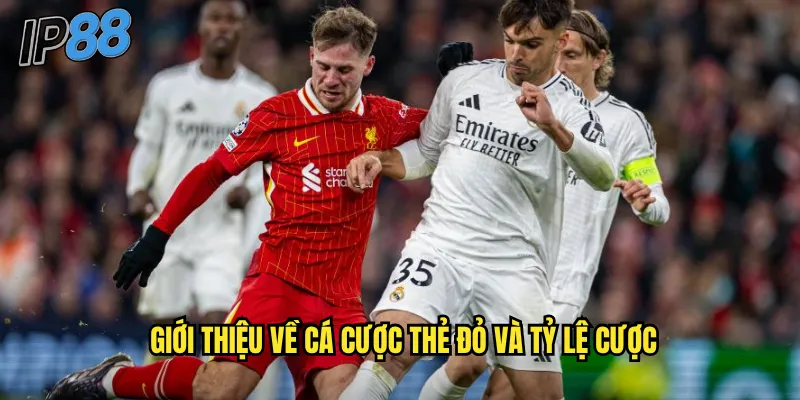 Thẻ đỏ ip88: Đặt cược vào tấm thẻ quyết định trận đấu 2 Giới thiệu về cá cược thẻ đỏ và tỷ lệ cược