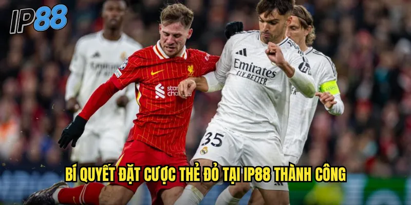 Thẻ đỏ ip88: Đặt cược vào tấm thẻ quyết định trận đấu 3 Bí quyết đặt cược thẻ đỏ tại ip88 thành công