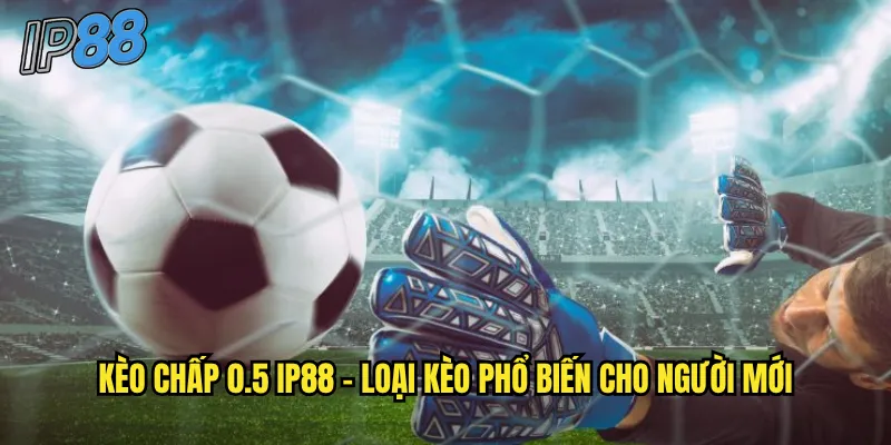 Kèo Chấp 0.5 ip88 - Hướng Dẫn Chi Tiết Cách Đọc Và Đặt Cược Hiệu Quả 2 Kèo chấp 0.5 ip88 - Loại kèo phổ biến cho người mới